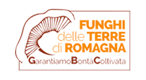 Funghi terre Romagna