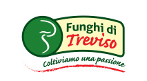 Funghi di Treviso